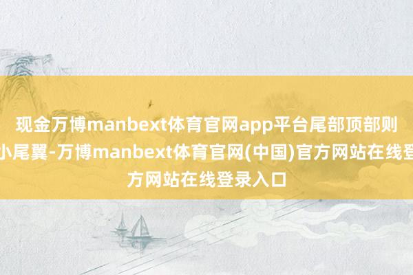 现金万博manbext体育官网app平台尾部顶部则是配备小尾翼-万博manbext体育官网(中国)官方网站在线登录入口