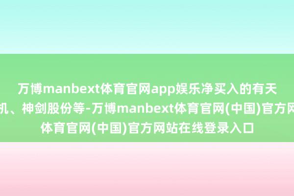 万博manbext体育官网app娱乐净买入的有天赐材料、江特电机、神剑股份等-万博manbext体育官网(中国)官方网站在线登录入口