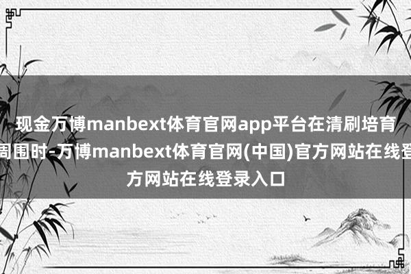 现金万博manbext体育官网app平台在清刷培育体基桩周围时-万博manbext体育官网(中国)官方网站在线登录入口