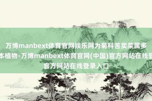 万博manbext体育官网娱乐网为菊科苦荬菜属多年生草本植物-万博manbext体育官网(中国)官方网站在线登录入口