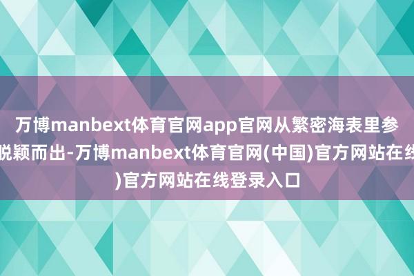 万博manbext体育官网app官网从繁密海表里参评技俩中脱颖而出-万博manbext体育官网(中国)官方网站在线登录入口