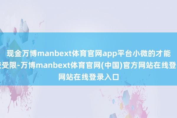 现金万博manbext体育官网app平台小微的才能还比较受限-万博manbext体育官网(中国)官方网站在线登录入口