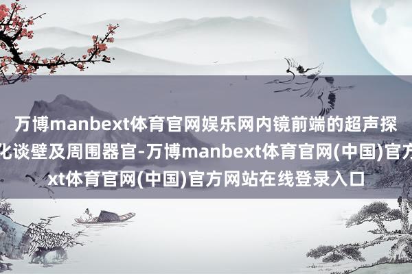 万博manbext体育官网娱乐网内镜前端的超声探头可近距离扫描消化谈壁及周围器官-万博manbext体育官网(中国)官方网站在线登录入口