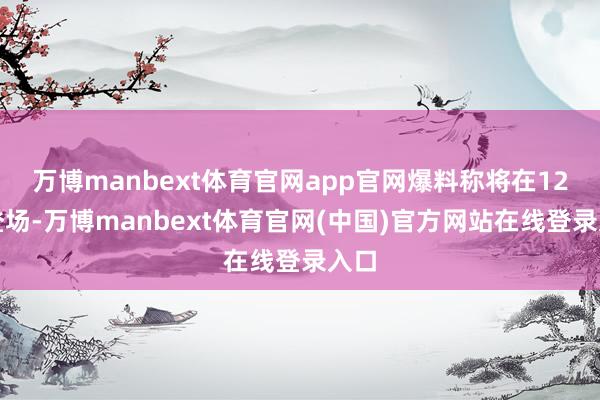 万博manbext体育官网app官网爆料称将在12月登场-万博manbext体育官网(中国)官方网站在线登录入口