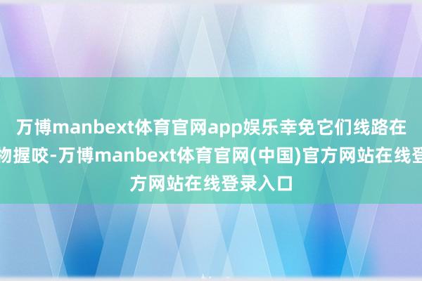 万博manbext体育官网app娱乐幸免它们线路在外被宠物握咬-万博manbext体育官网(中国)官方网站在线登录入口