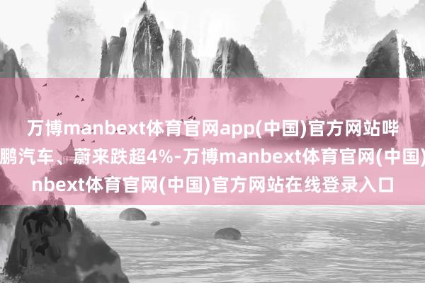 万博manbext体育官网app(中国)官方网站哔哩哔哩、京东集团、小鹏汽车、蔚来跌超4%-万博manbext体育官网(中国)官方网站在线登录入口
